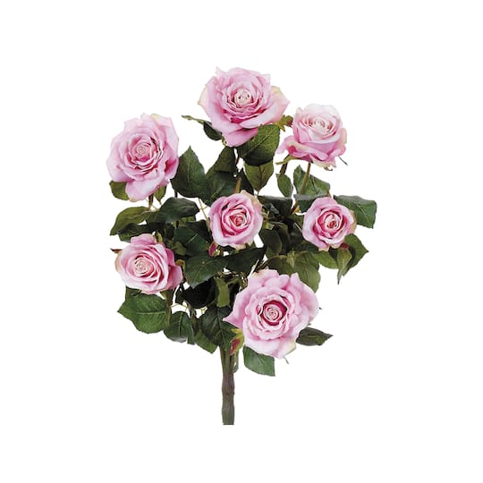 Two-Tone Pink Confetti Rose Bush